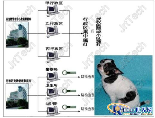 SMC宠物整体配套方案